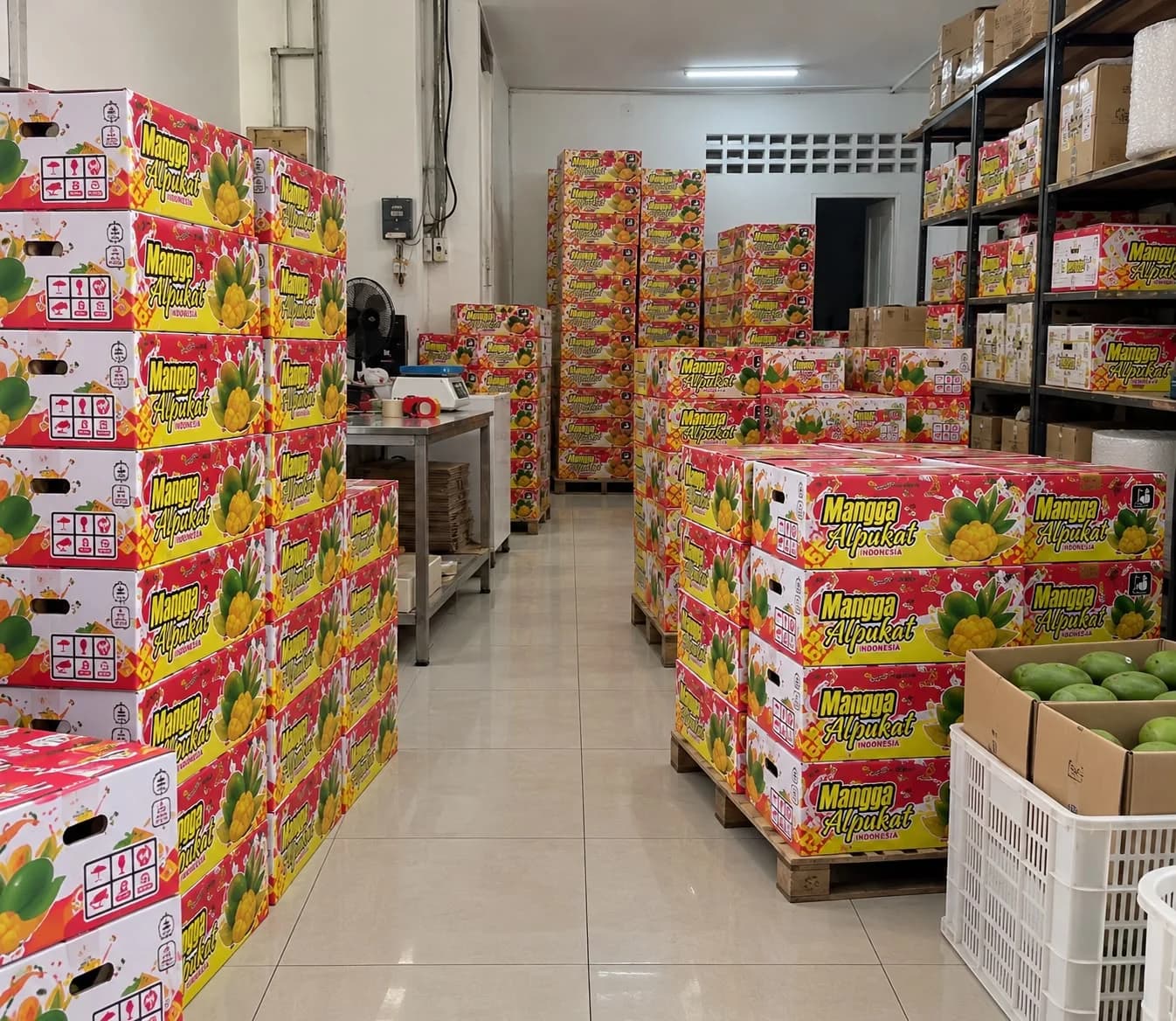 Susunan dus Mangga Alpukat dengan kemasan merah dan kuning